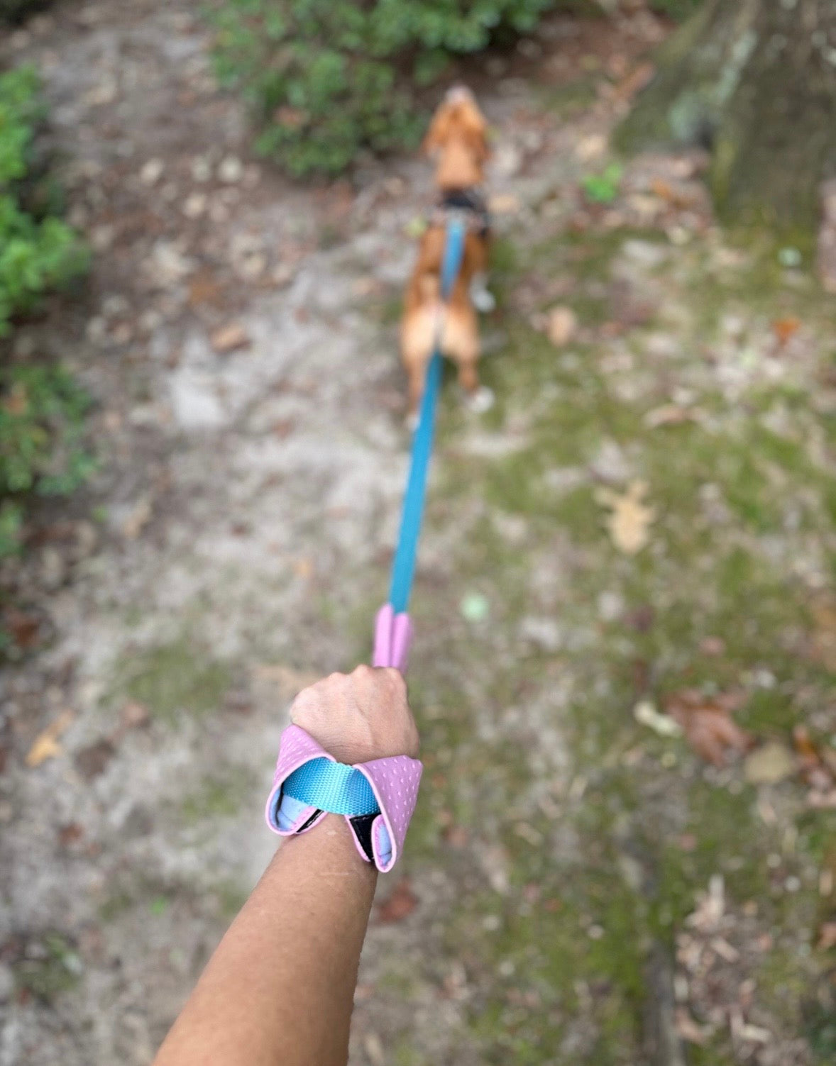Hound Handler®