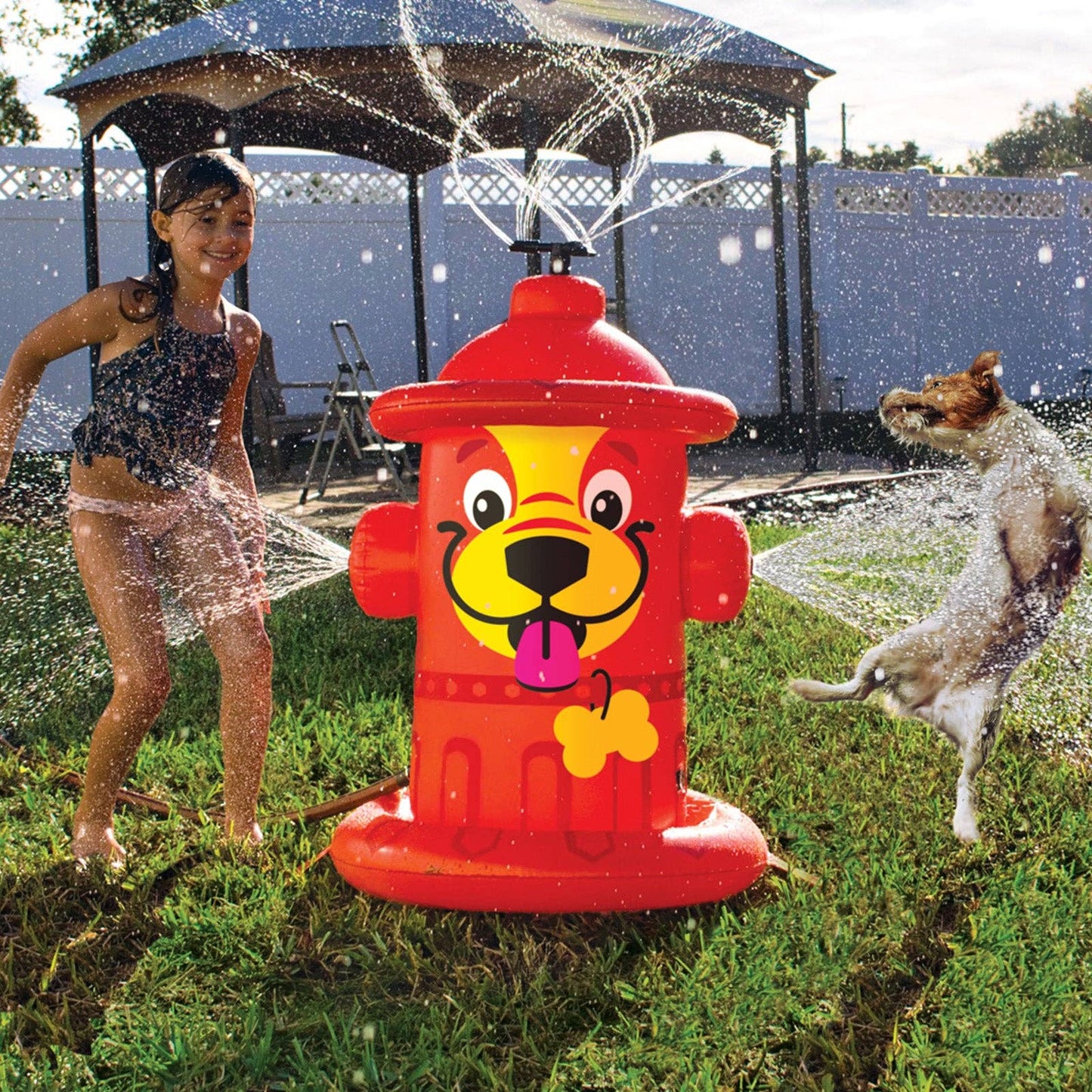 Fire Hydrant Sprinkler