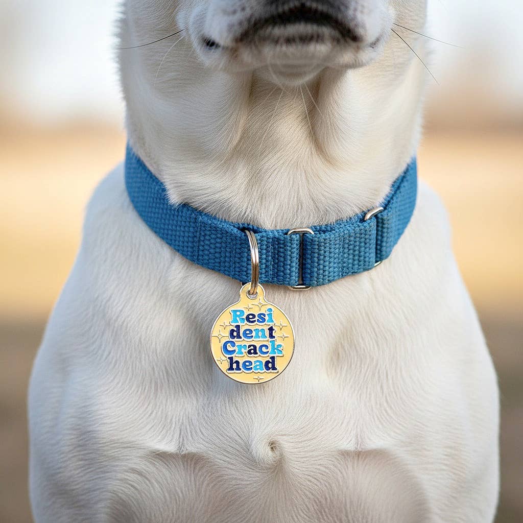 Dog Tag Collar Charm - Resident Crackhead - QR Code