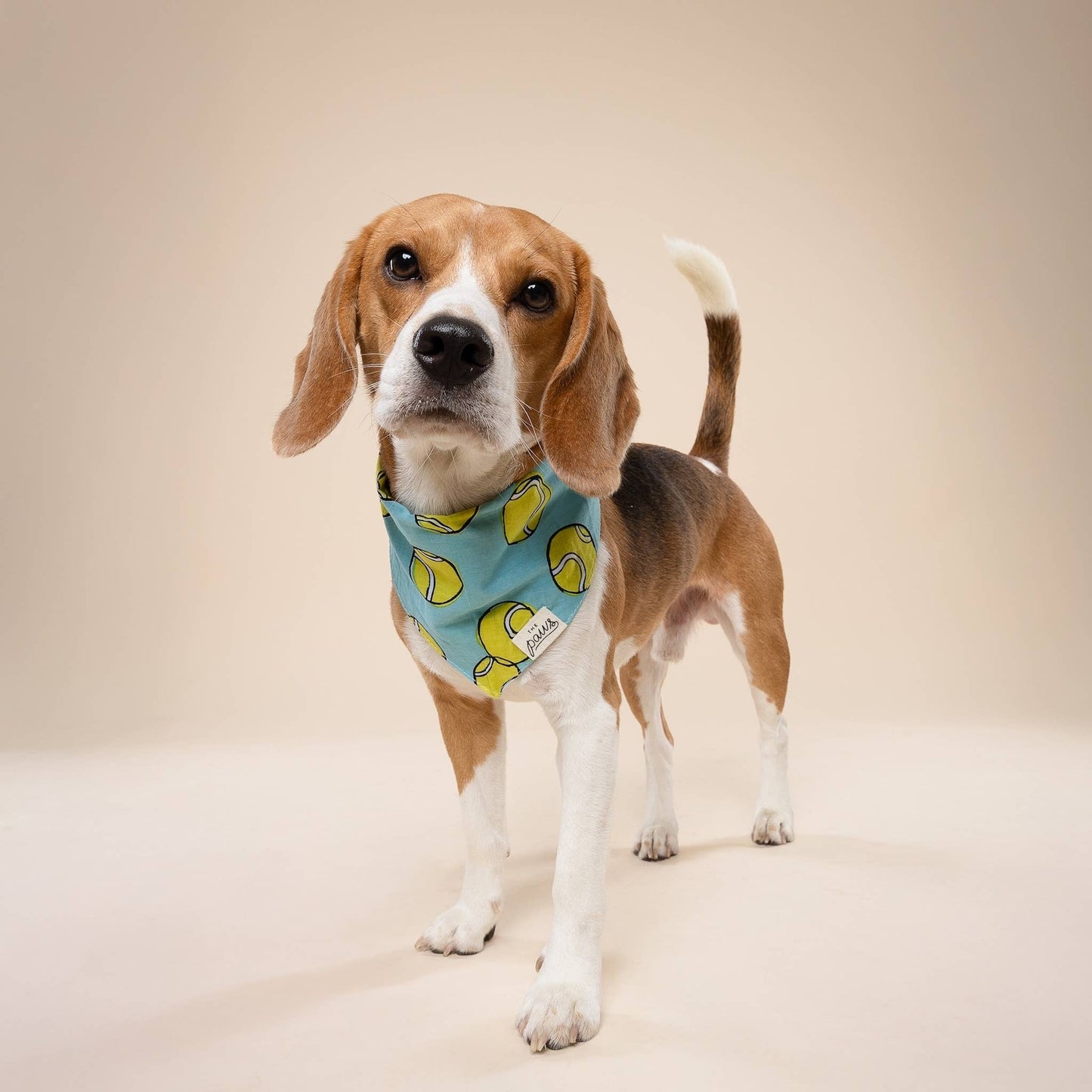 Tennis Ball Dog Bandana