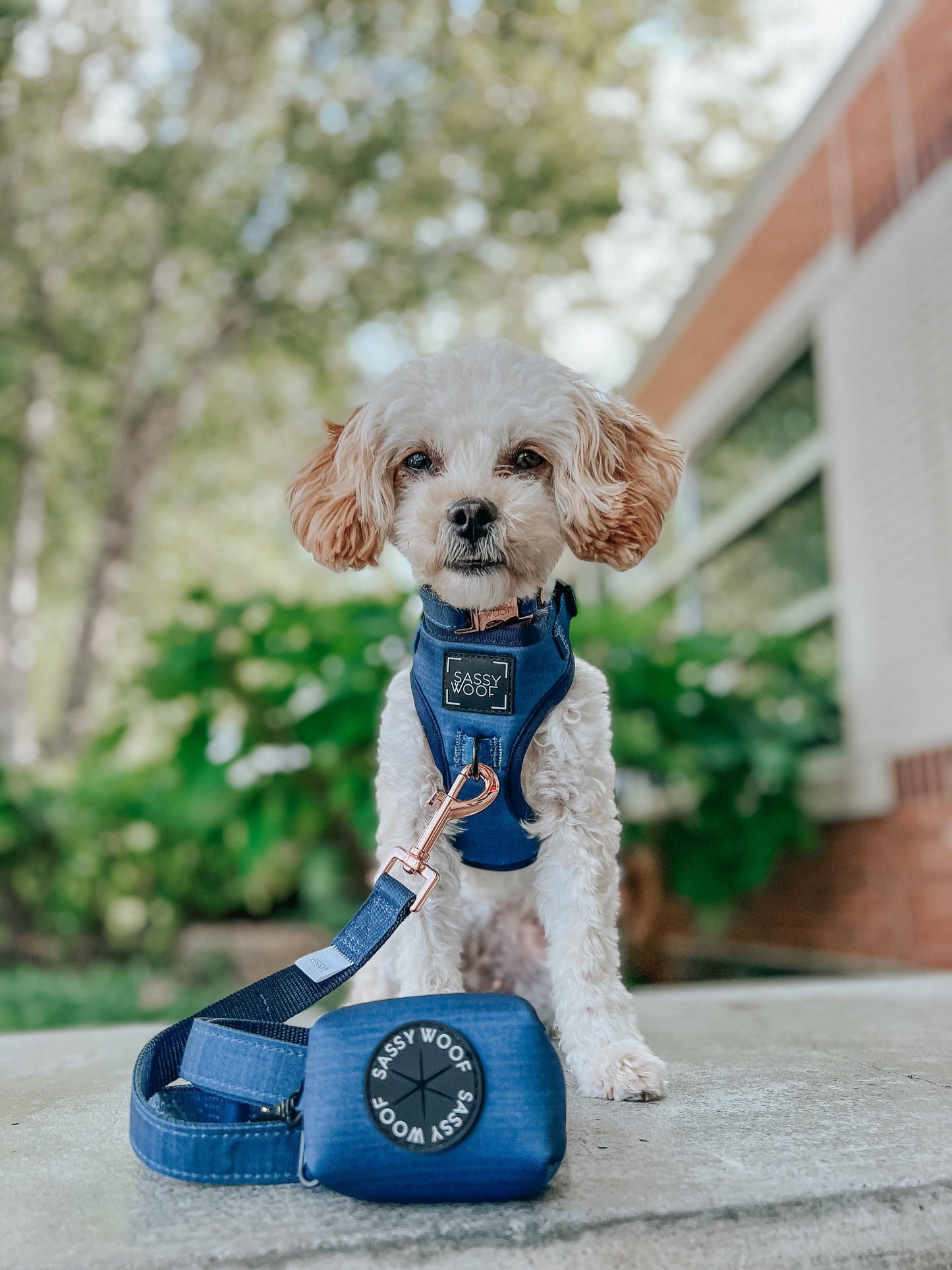 Dog Waste Bag Holder - Twilight