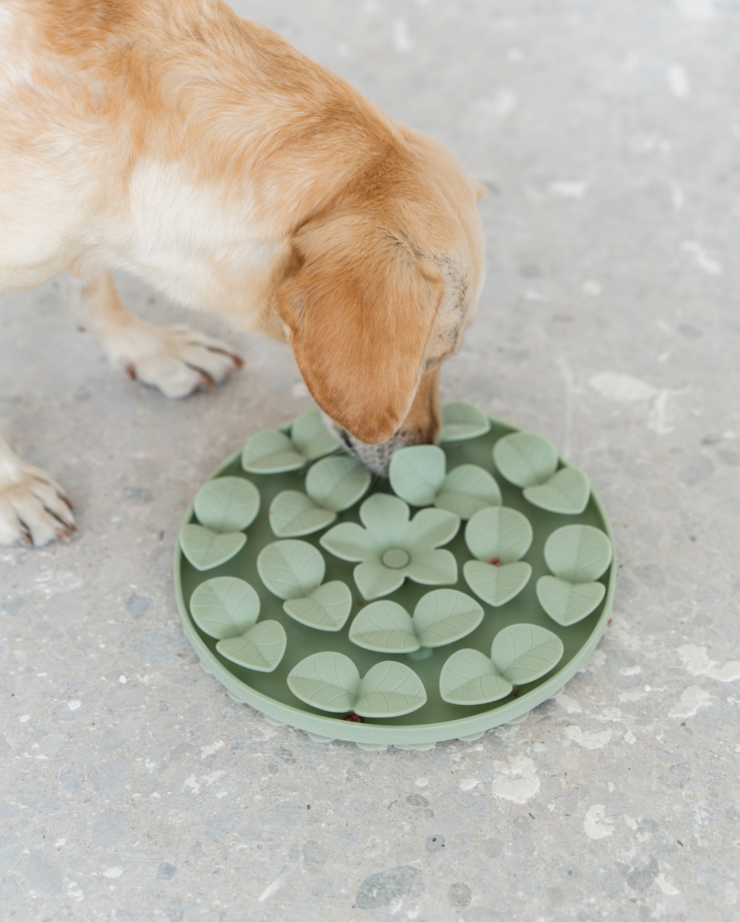 Sage Green Circle Enrichment Snuffle Mat