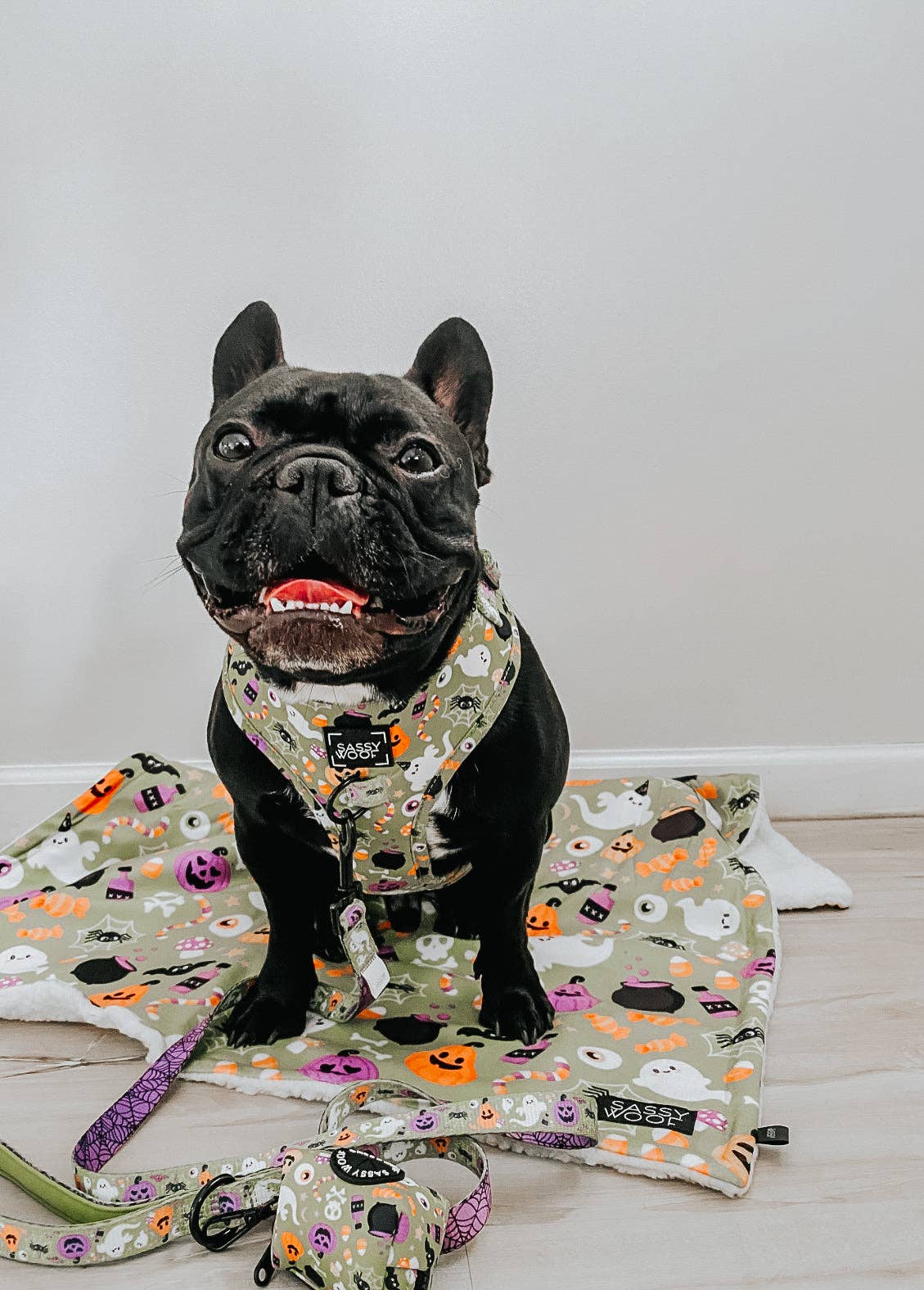 Pet Blanket - Haunt Mess