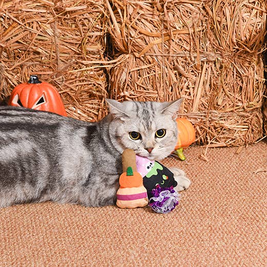 HugSmart Pet - Spooky Cats  | Witch's Brew - Cat Toy