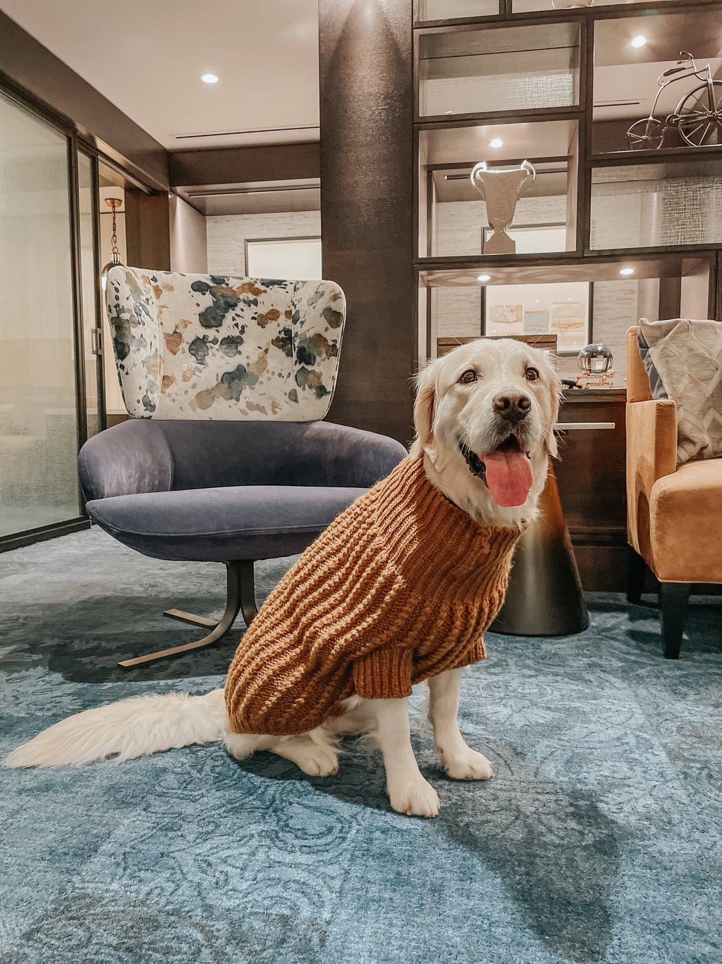 Pet Cable Knit Sweater - Brown