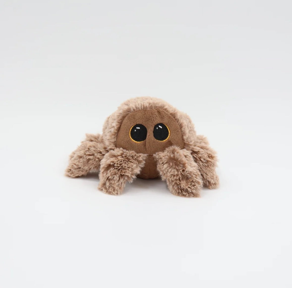 Prickley Hairy Spider Dog Toy 4”