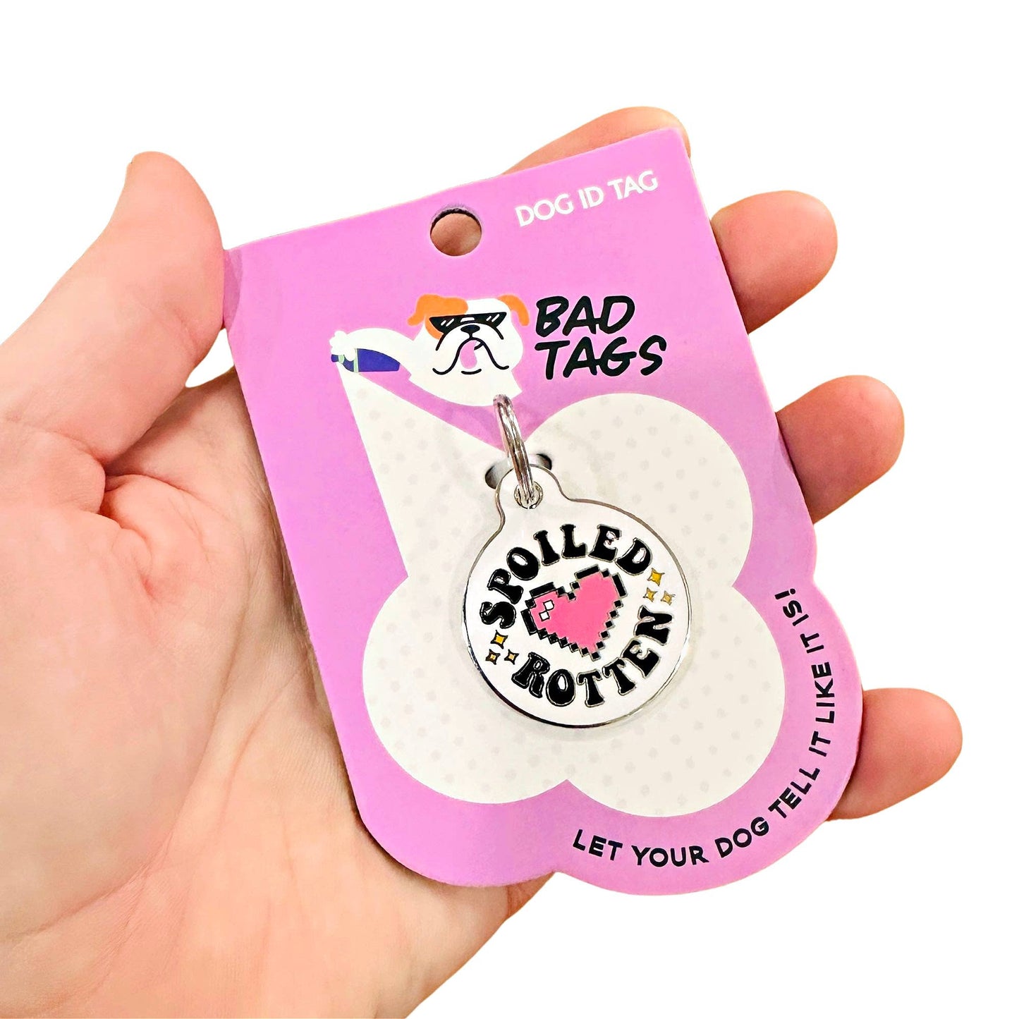 Dog Tag Collar Charm - Spoiled Rotten - QR Code