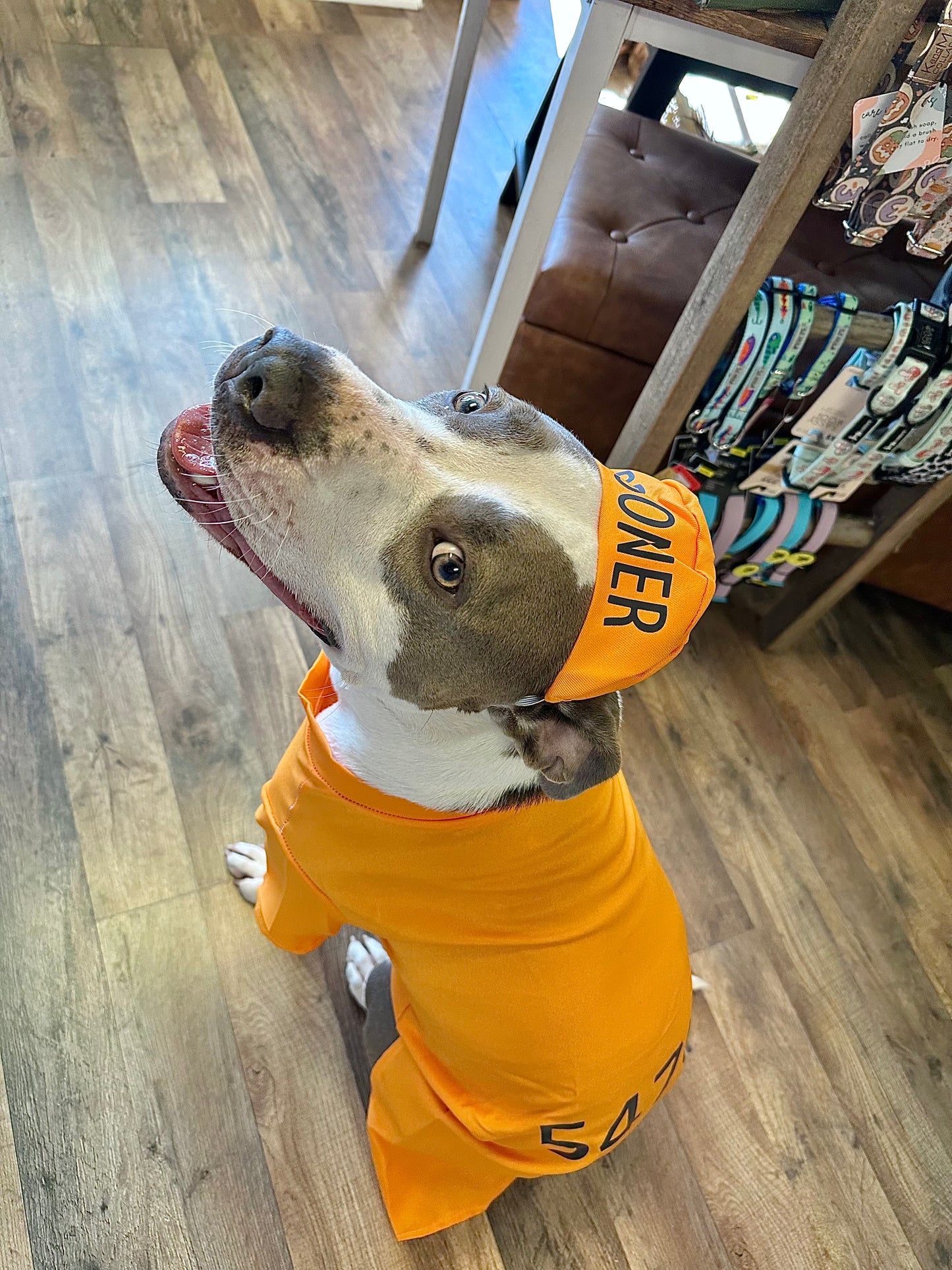 Orange Prisoner Dog Costume