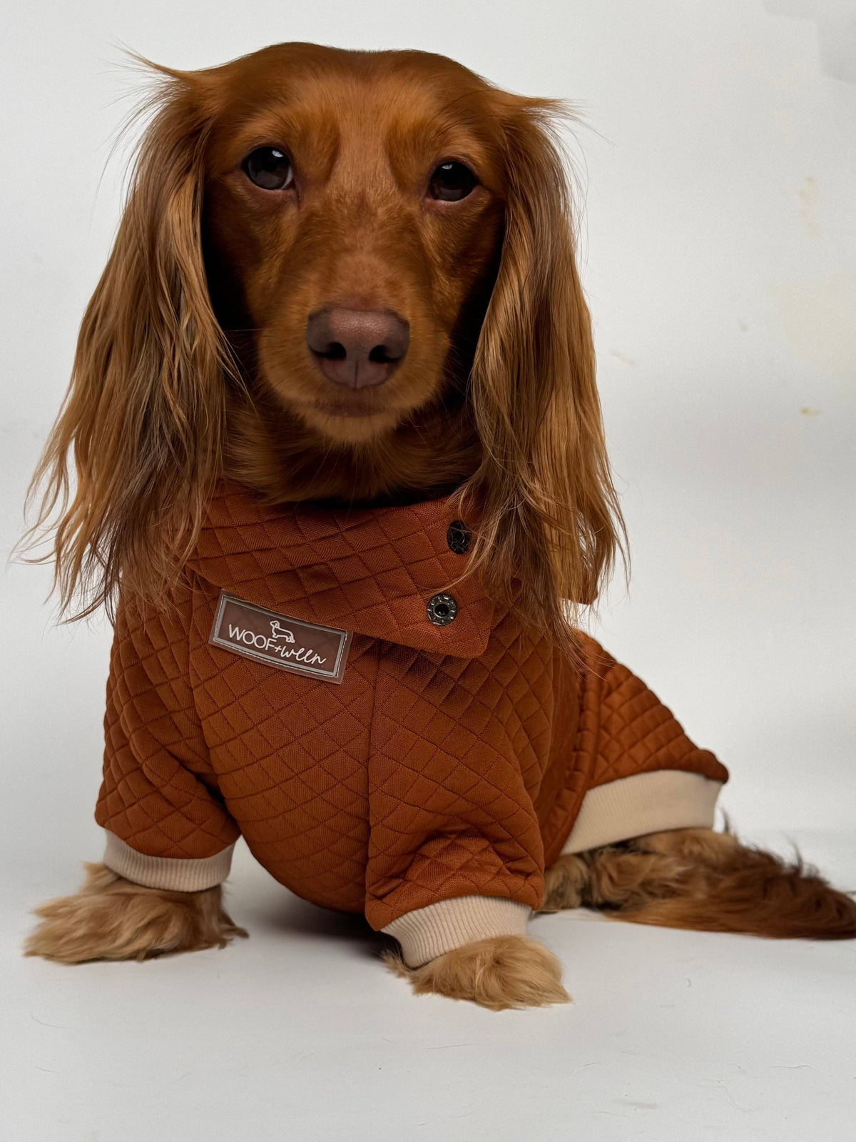 Dachshund Sweater - Rust Quilted Turtleneck Sweater