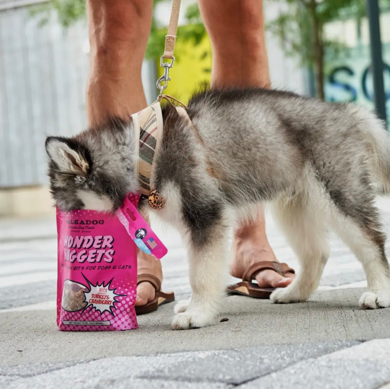 Wonder Nuggets, Turkey & Cranberry - 10oz - Dog Treats