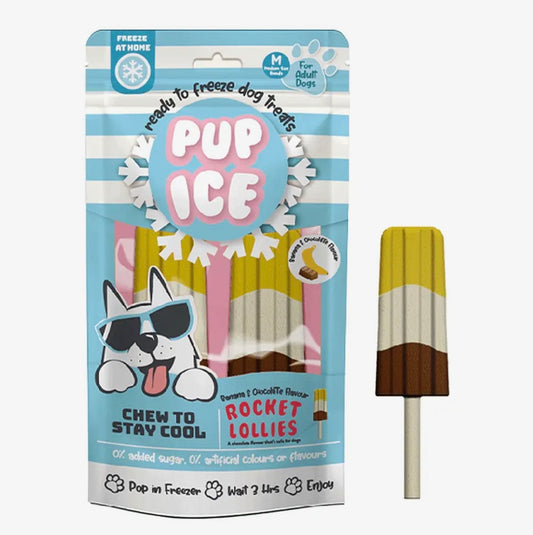 Pup Ice Rocket Lollies Banana and Chocolate (carob) 2pk