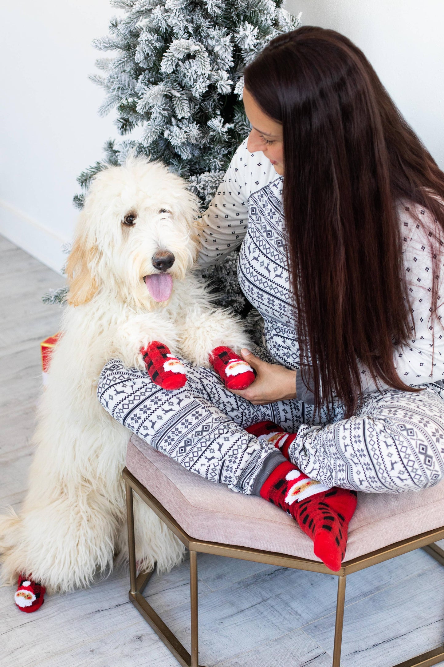 Santa Dog and Human Matching Christmas Sock Set