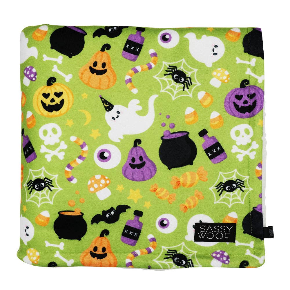 Pet Blanket - Haunt Mess