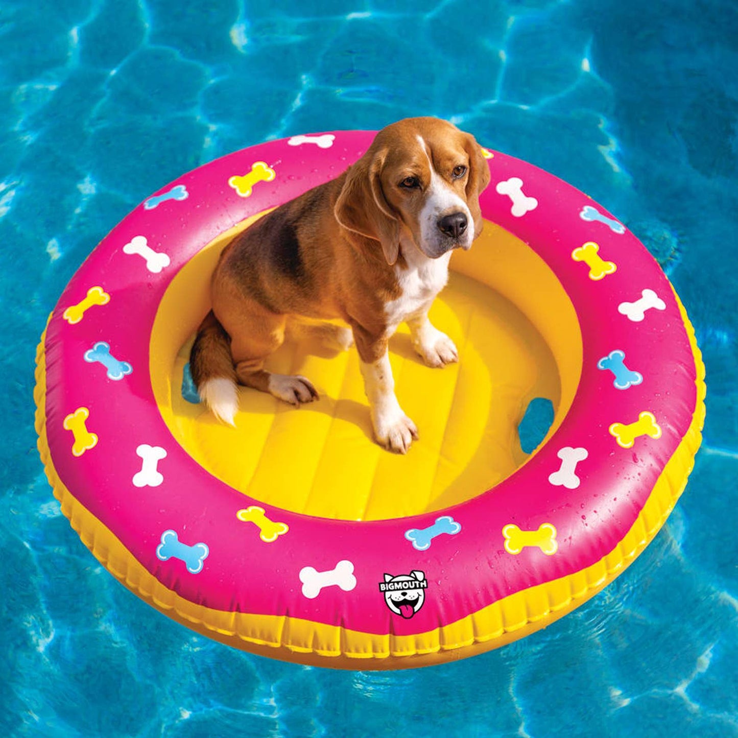 Bone Patterned Dog Pool Float