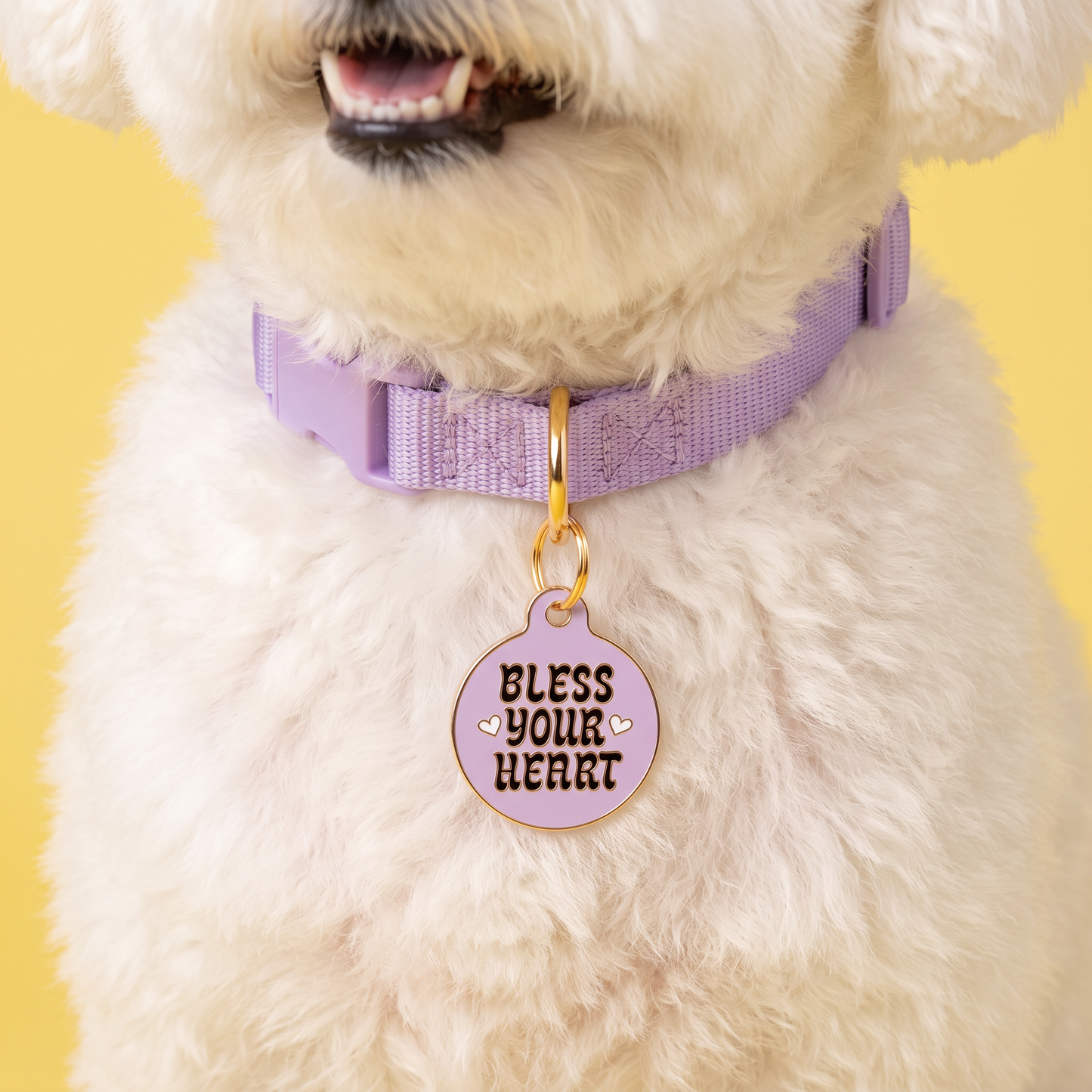 Sassy Dog Tag Charm & Pet ID Tag - Bless Your Heart