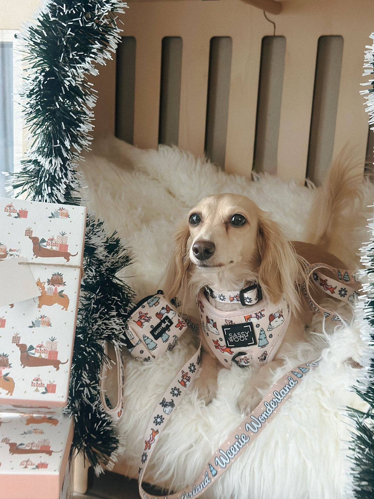 Dog Collar - Weenie Wonderland
