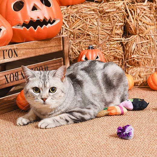 HugSmart Pet - Spooky Cats  | Witch's Brew - Cat Toy