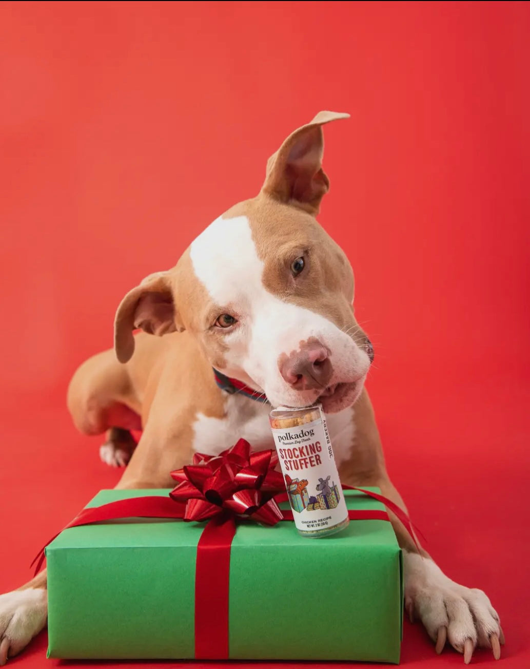 Holiday Mini Tube: Stocking Stuffer - Dog Treats