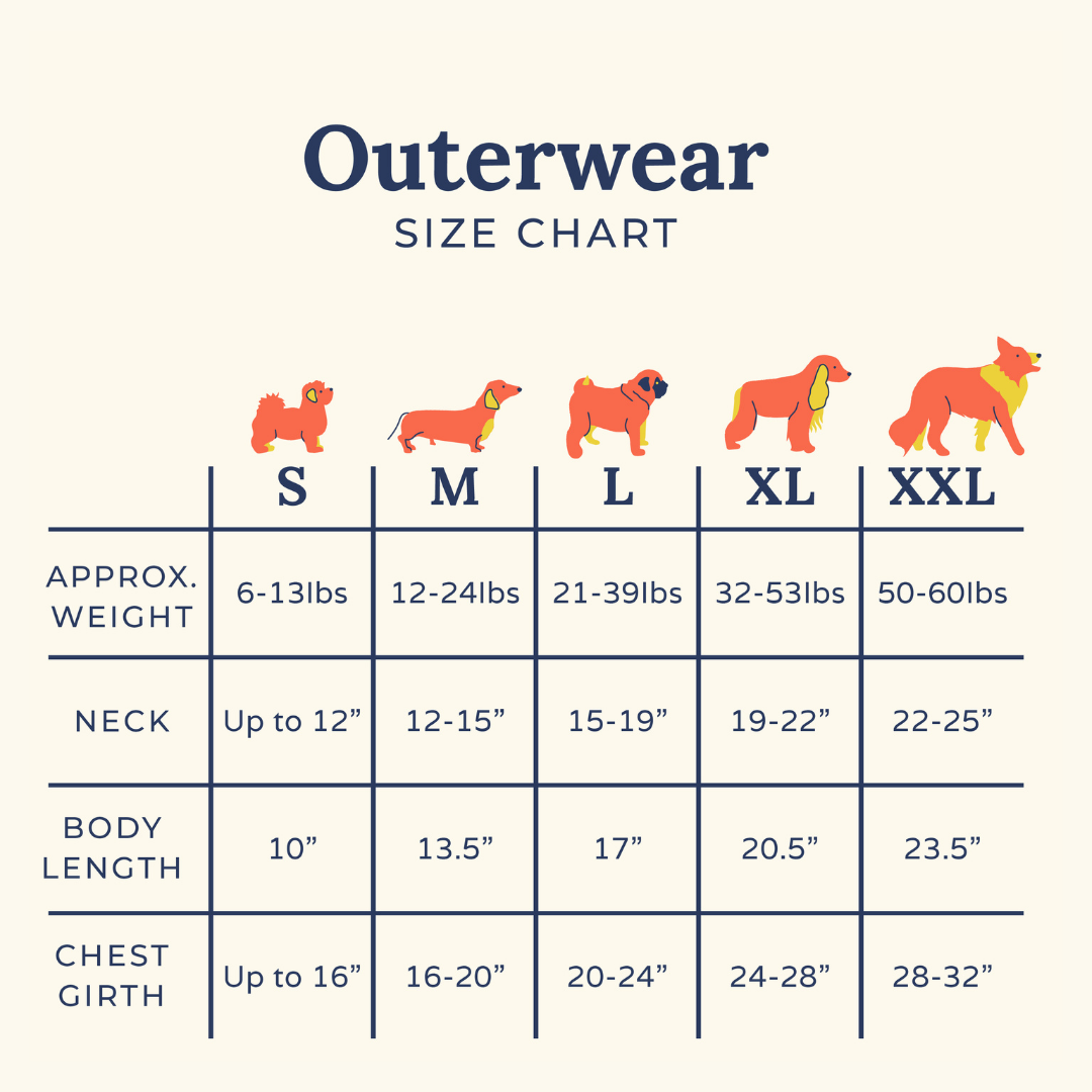 Snow Much Fun Reversible Teddy Vest