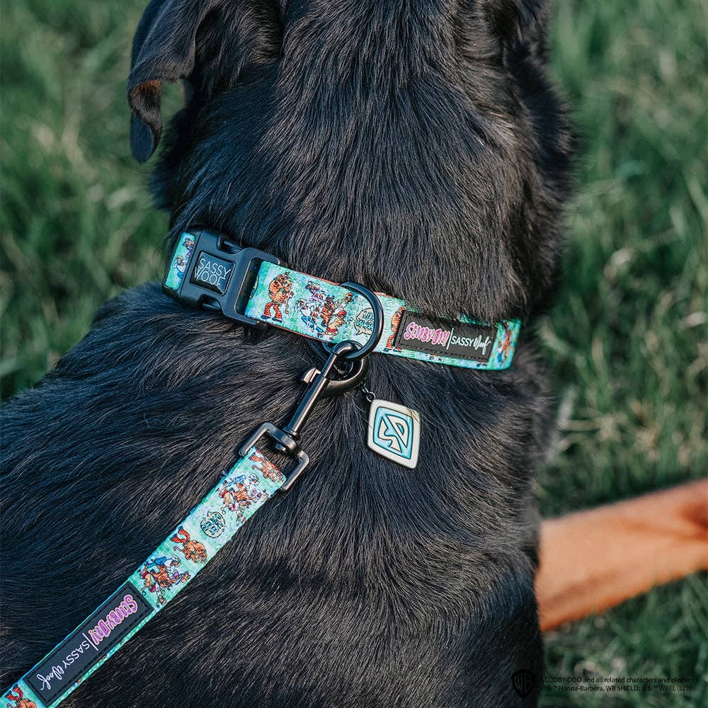 Dog Collar - Scooby-Doo™