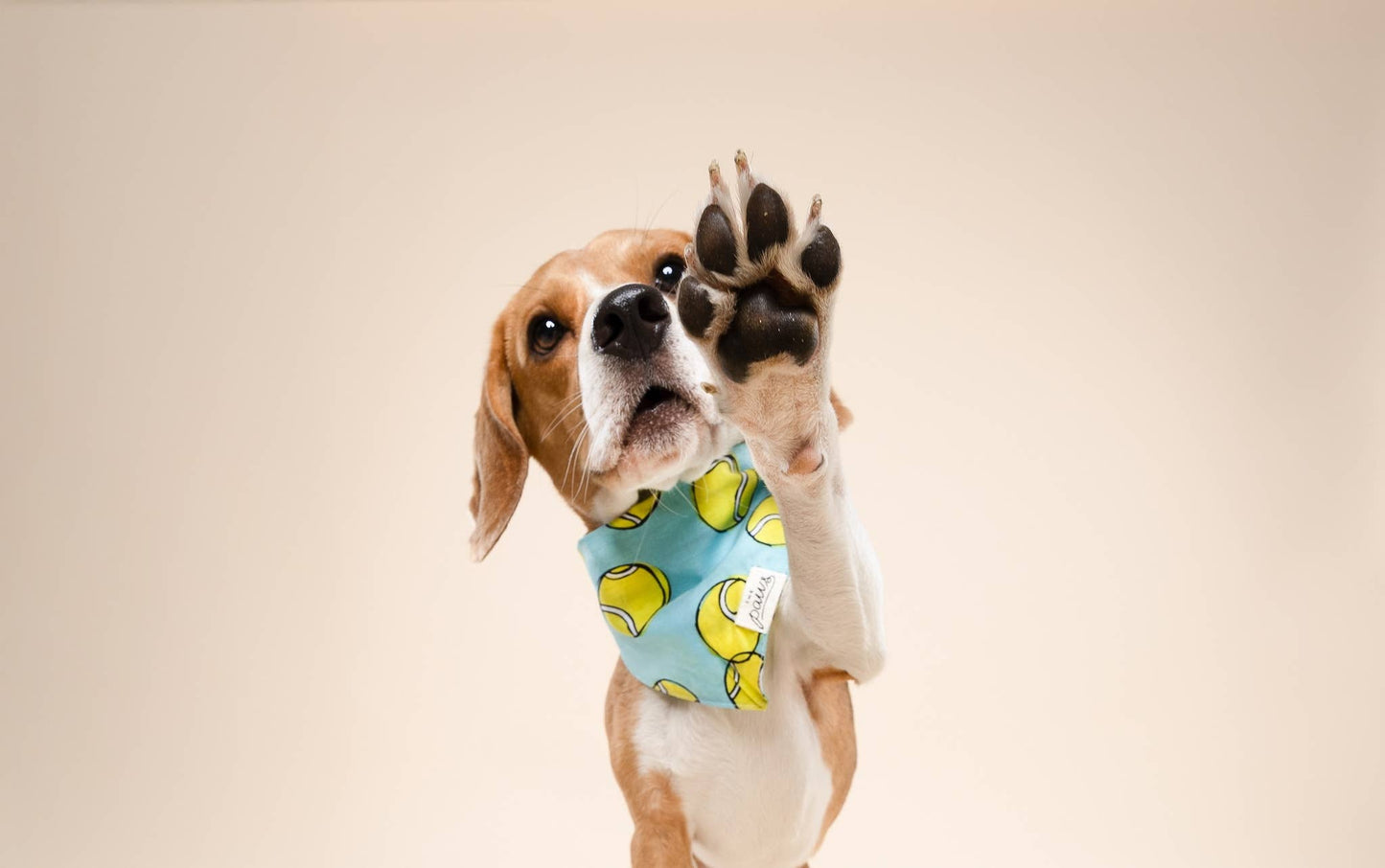 Tennis Ball Dog Bandana
