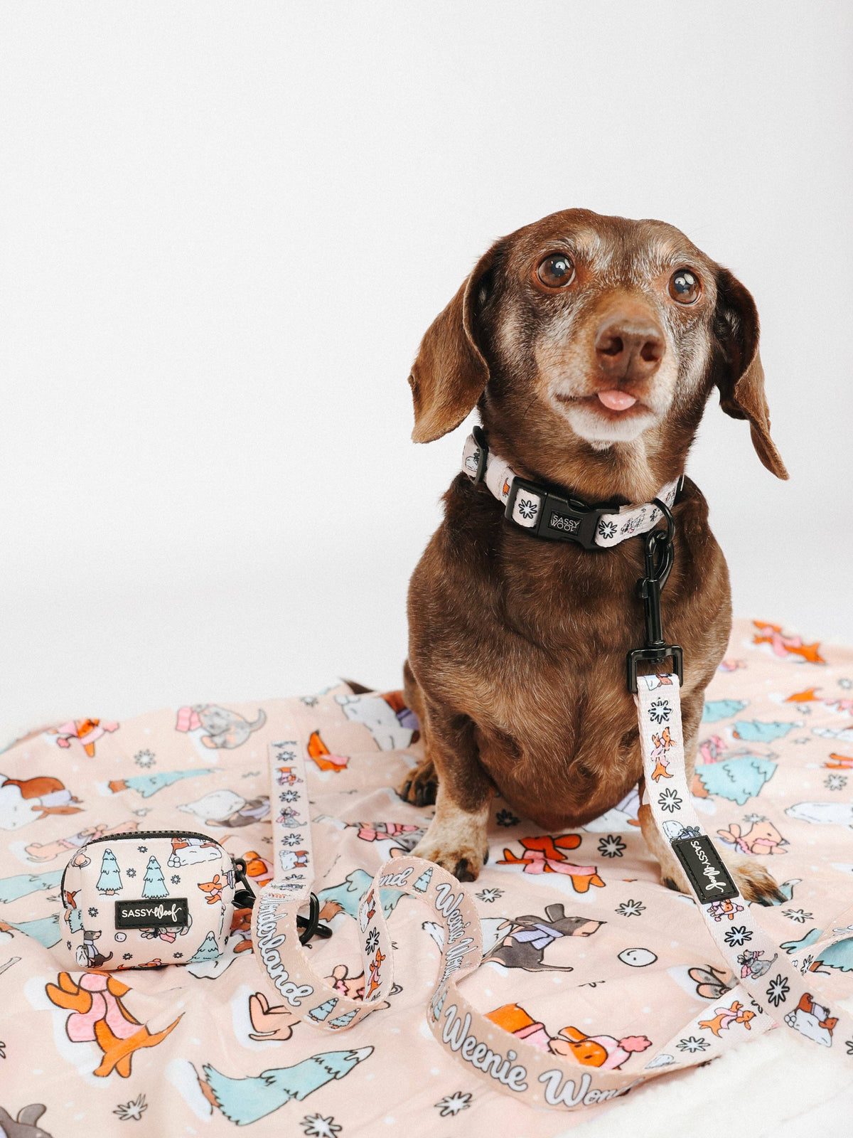 Dog Collar - Weenie Wonderland