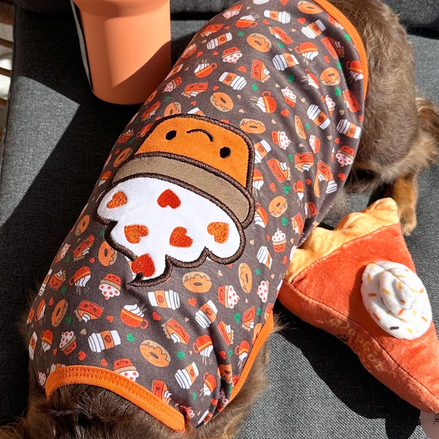 Pumpkin Spice Pet Tee