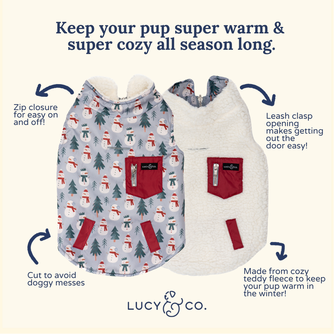 Snow Much Fun Reversible Teddy Vest