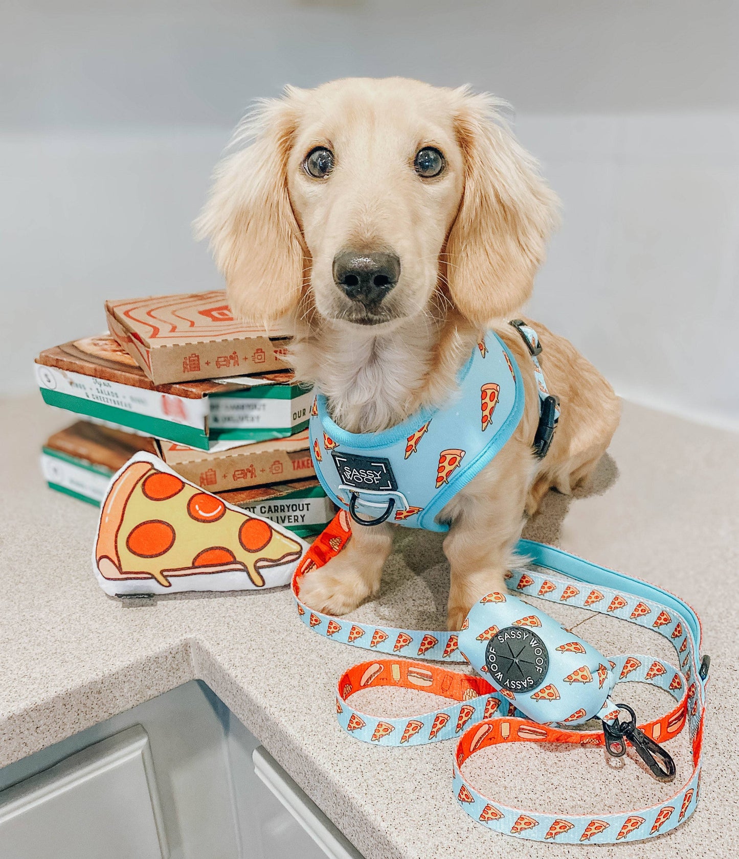 Dog Waste Bag Holder - One Hot Pupperoni