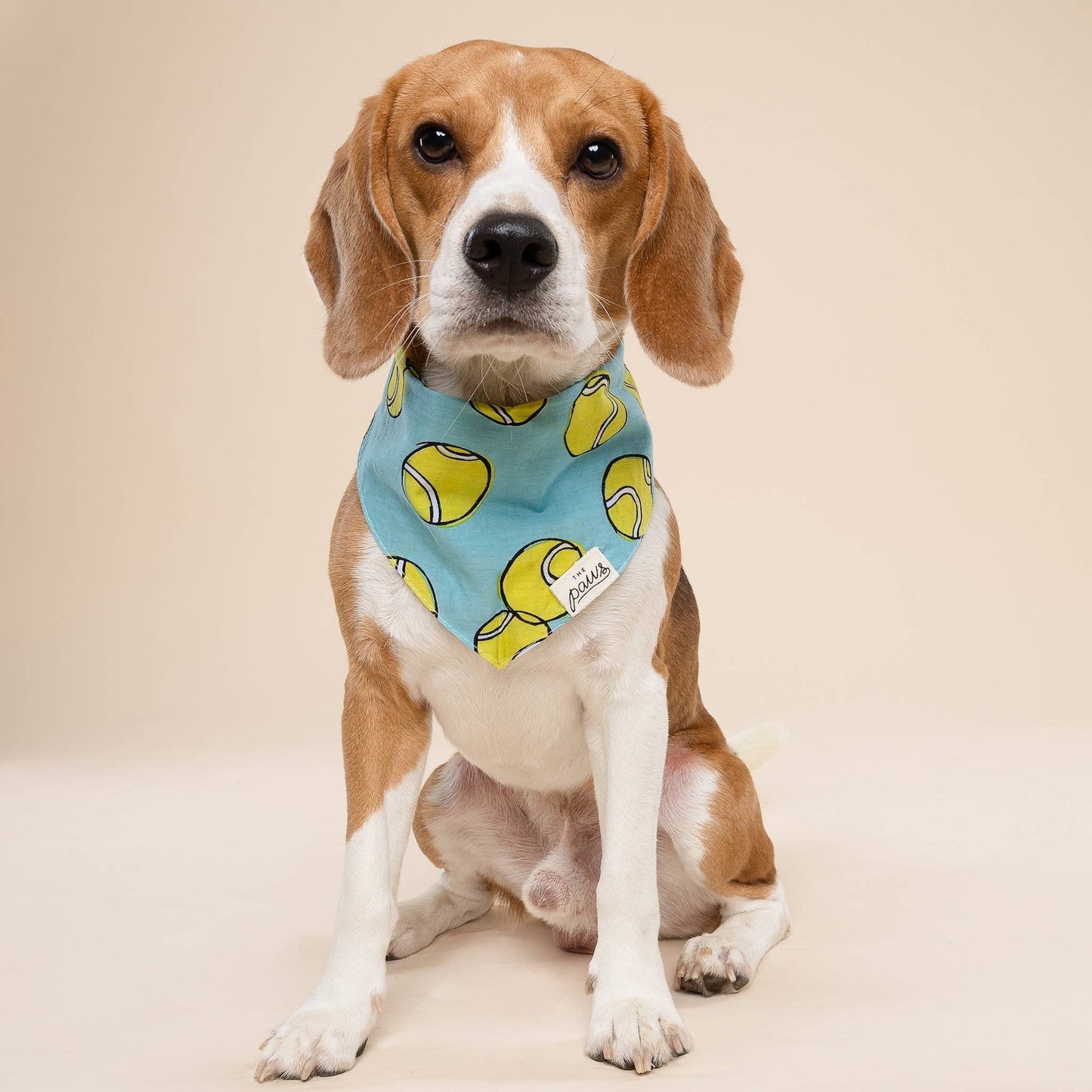 Tennis Ball Dog Bandana