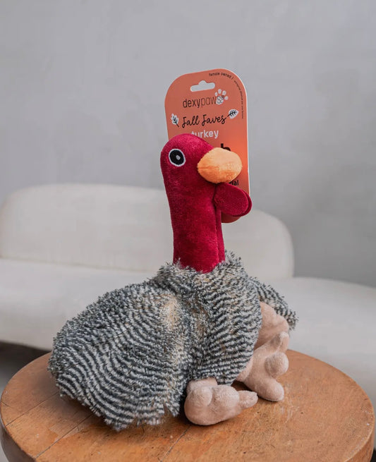 Turkey Dog Toy