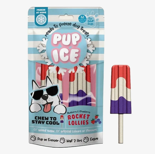 Pup Ice Rocket Lollies Blueberry and Strawberry 2pk