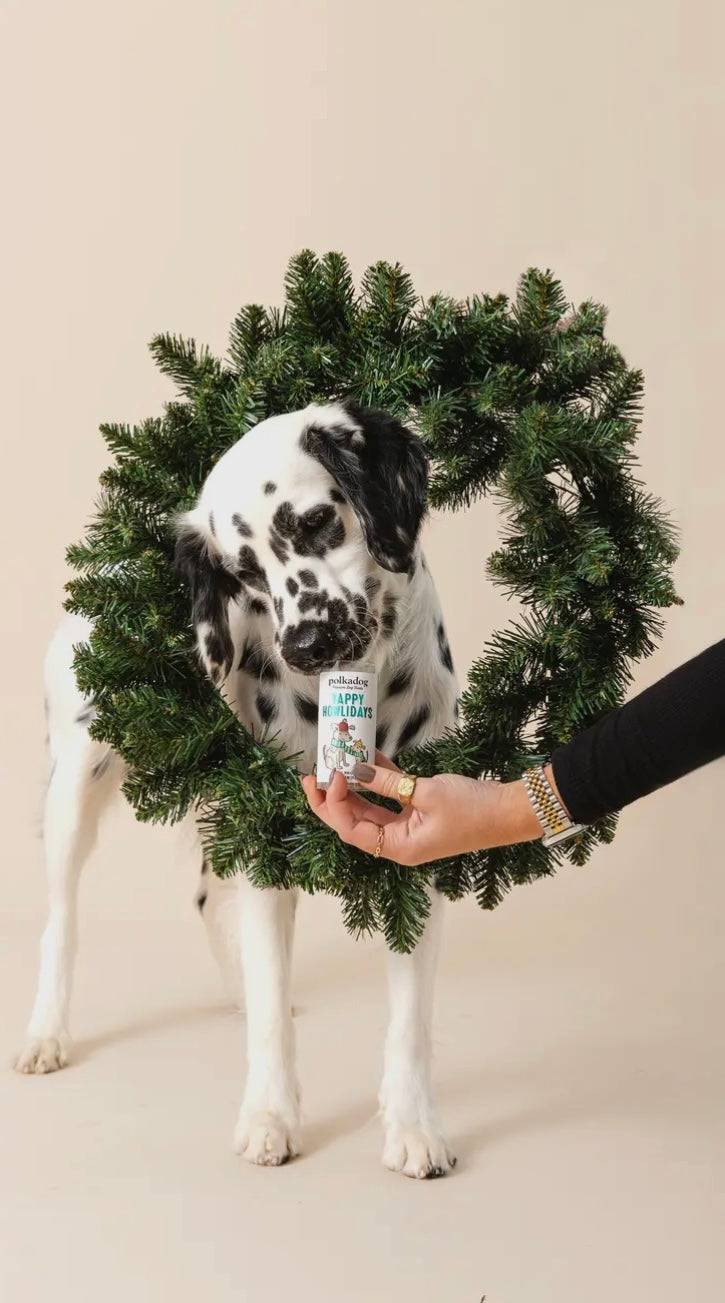 Holiday Mini Tube: Yappy Howlidays - Dog Treats
