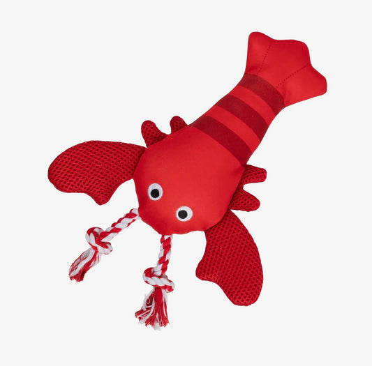 Feeling Clawsome Floating Dog Toy