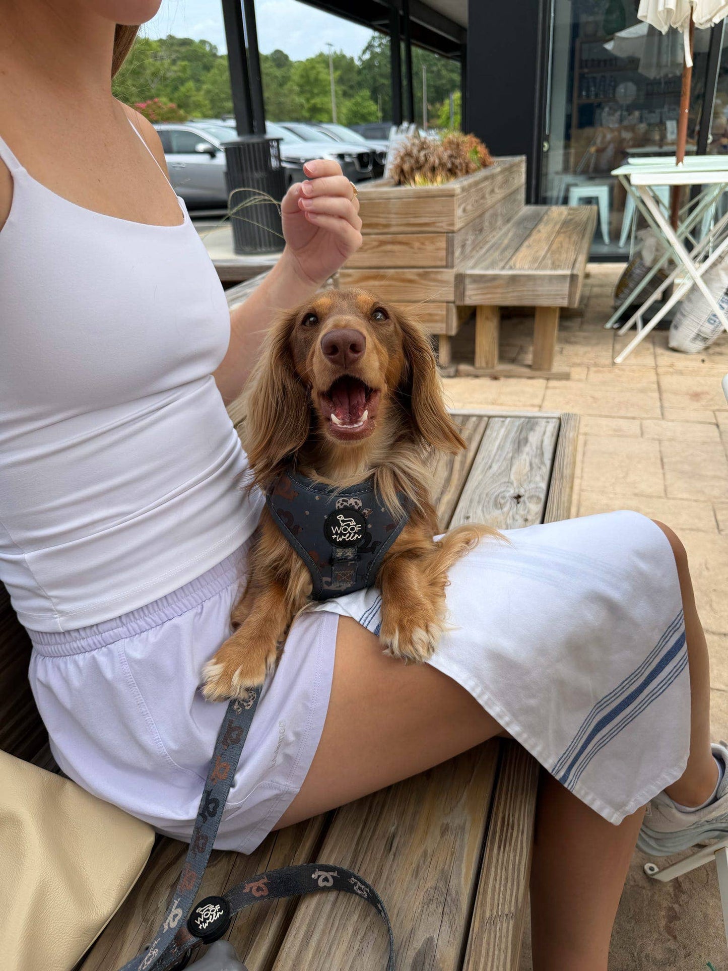 Dachshund Adjustable Harness - I HEART DACHSHUNDS
