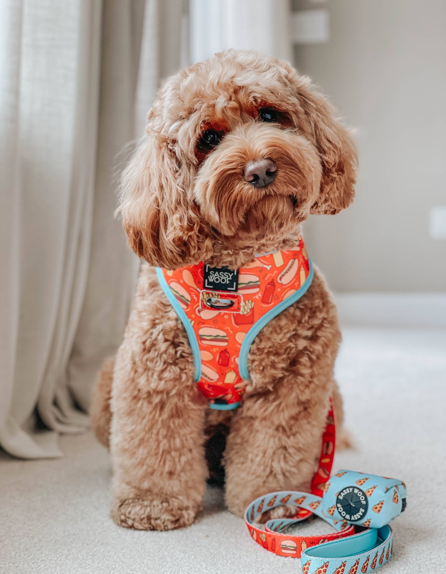 Dog Reversible Harness - One Hot Pupperoni