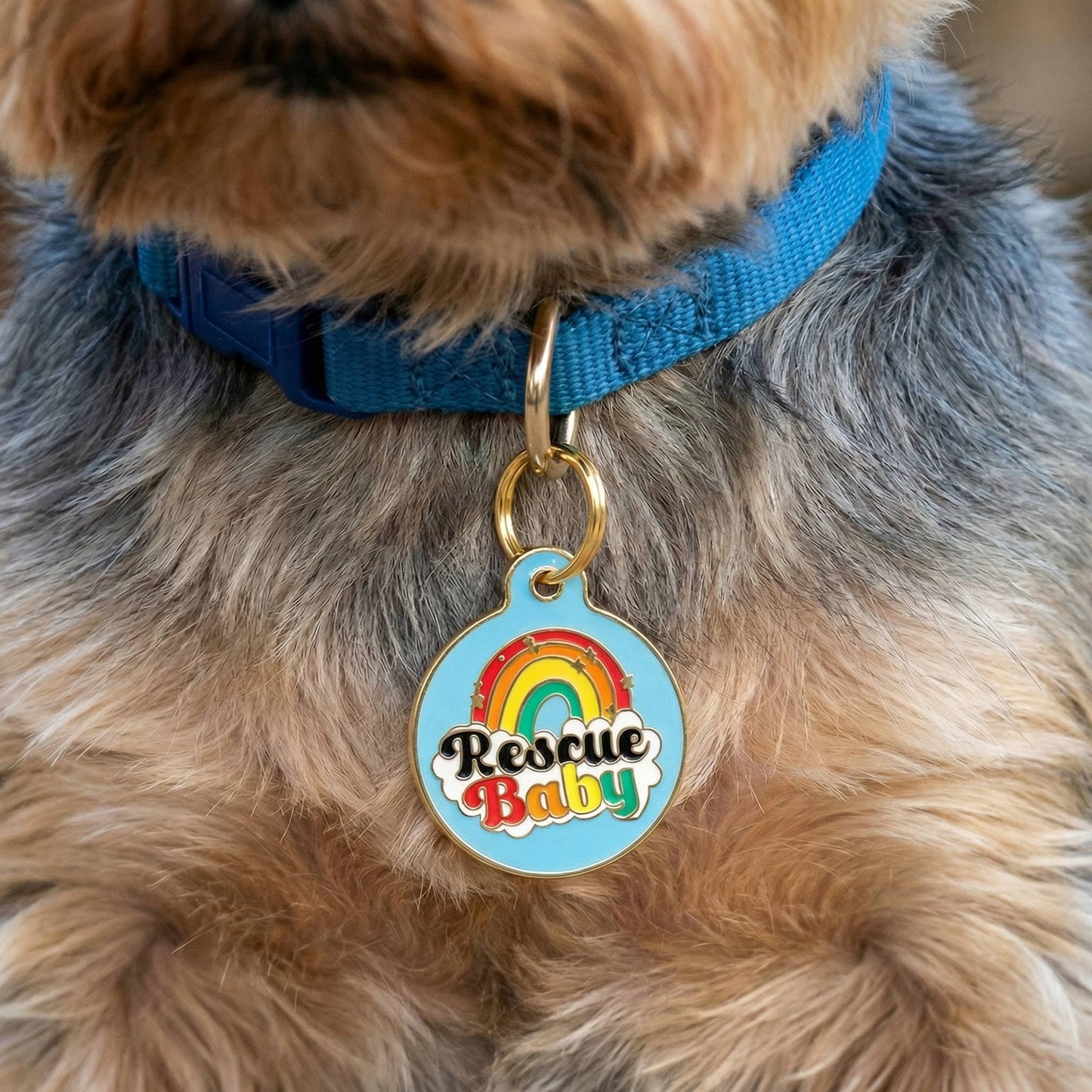 Pet ID Tag - Rescue Baby *Blue - QR CODE