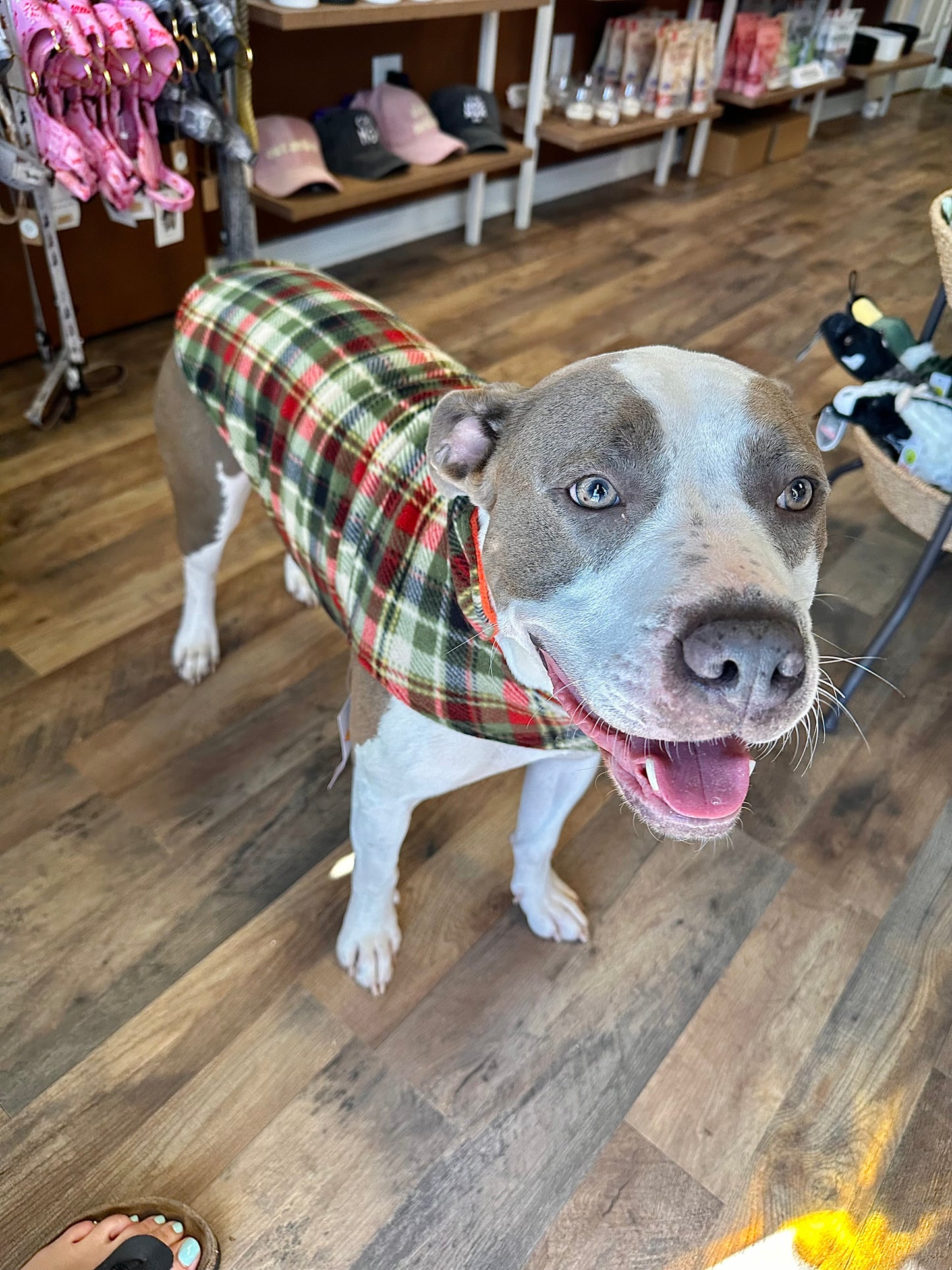 Olive and Orange Fargo Fleece Reversible Dog Jacket