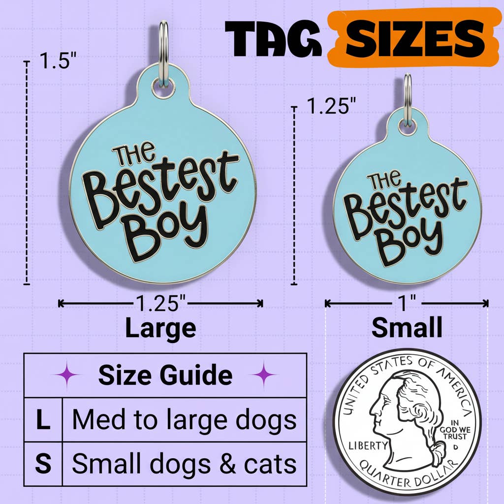 Dog Tag Collar Charm - The Bestest Boy - QR Code