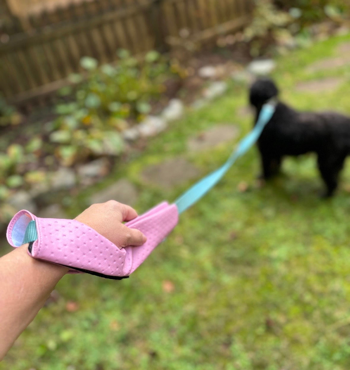Hound Handler®