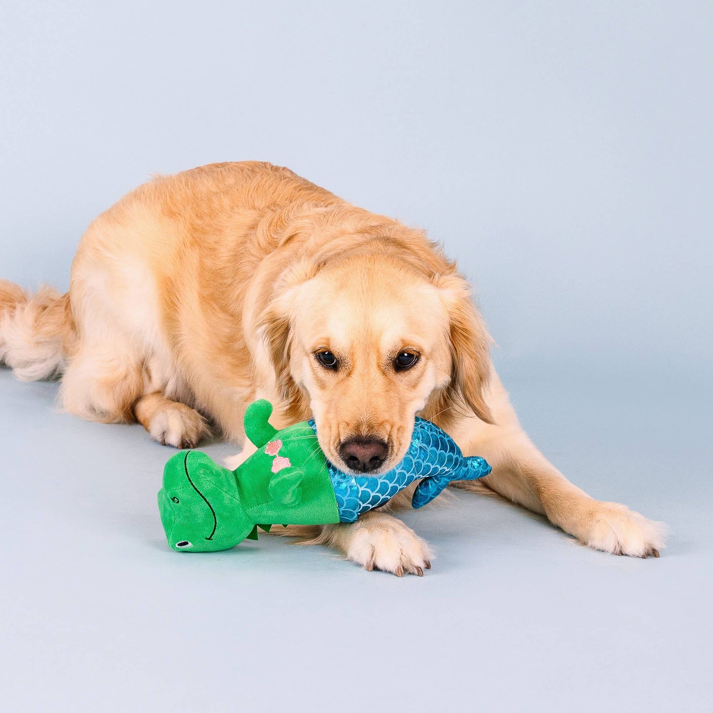 Mer-Rex Plush Dog Toy
