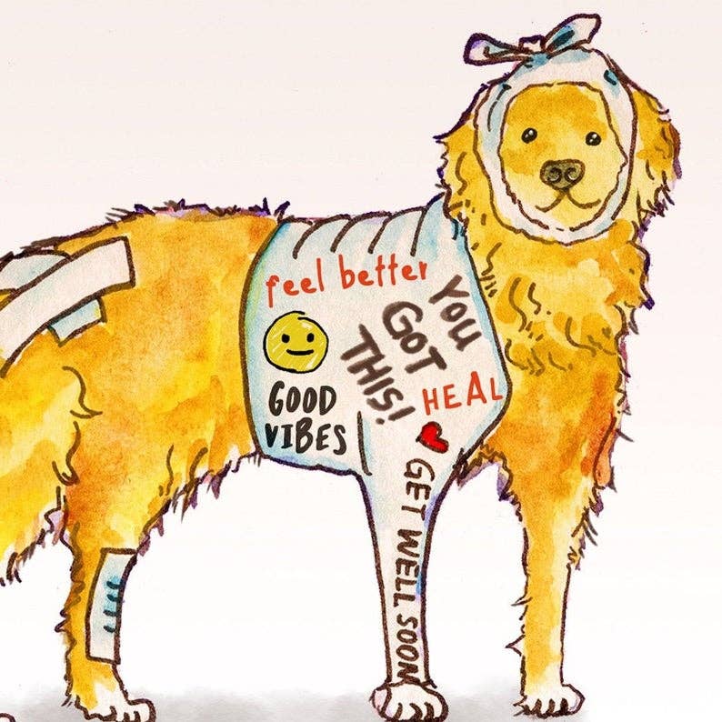 Injured Dog - Sympathy Card