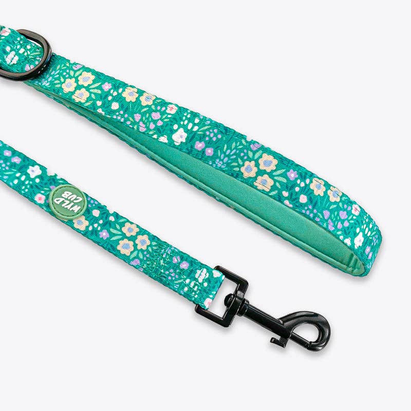 Dog Lead: Notting Hill Mint