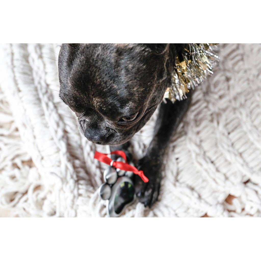 Paw Shaped Pet Picture Holiday Ornament - Silver