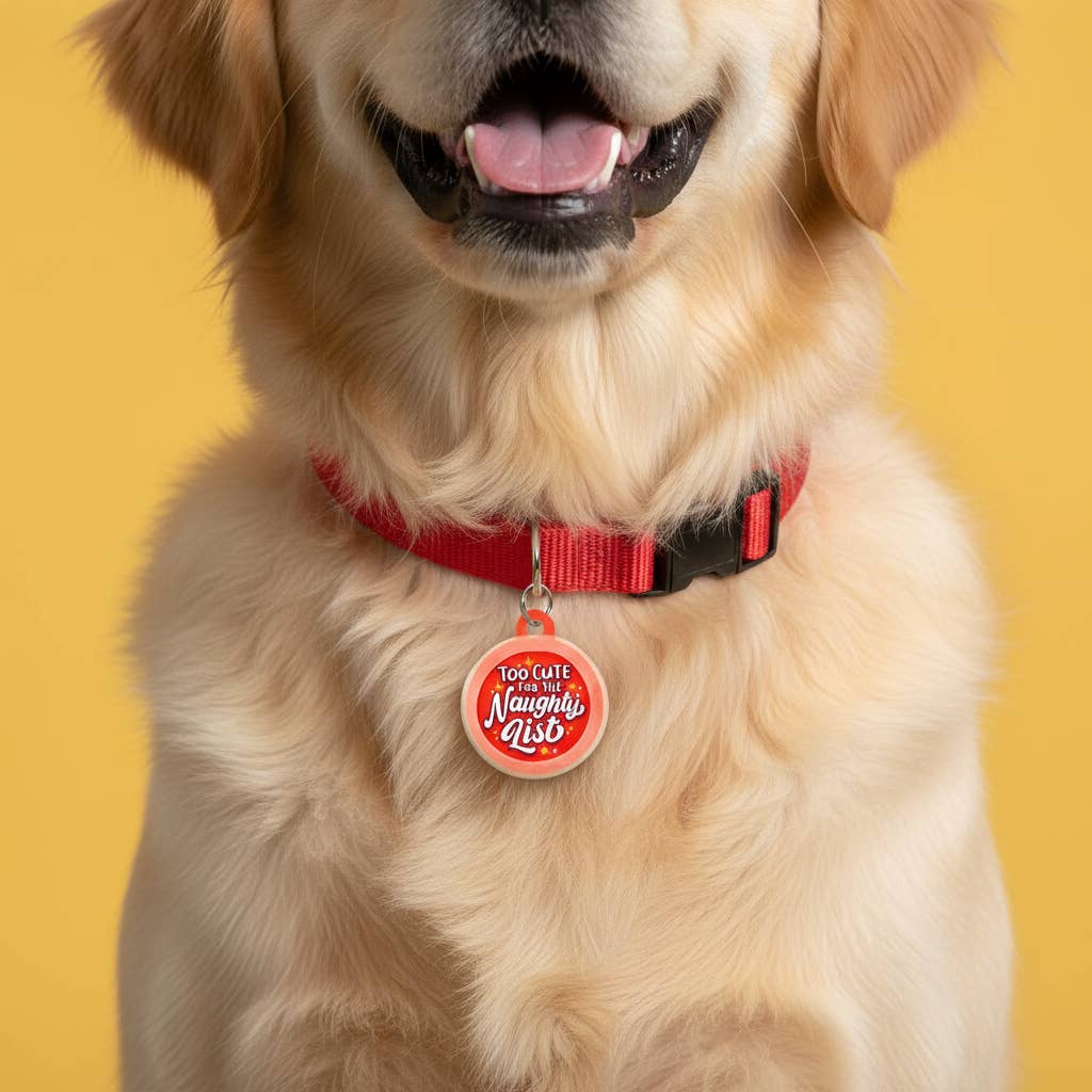 Holiday Dog Collar Charm - Too Cute for the Naughty List