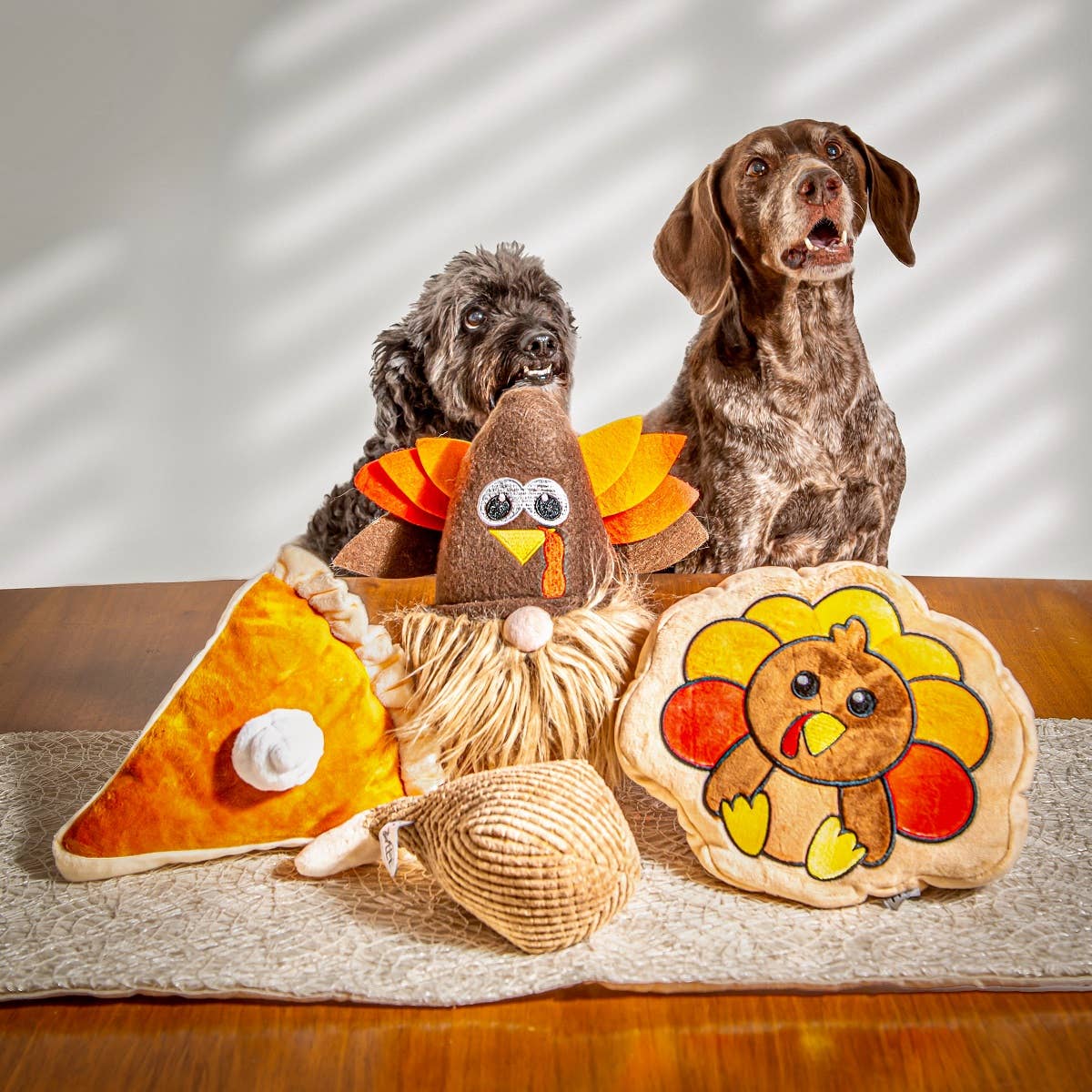 Midlee Thanksgiving Pumpkin Pie and Turkey Leg Plush Dog Toy