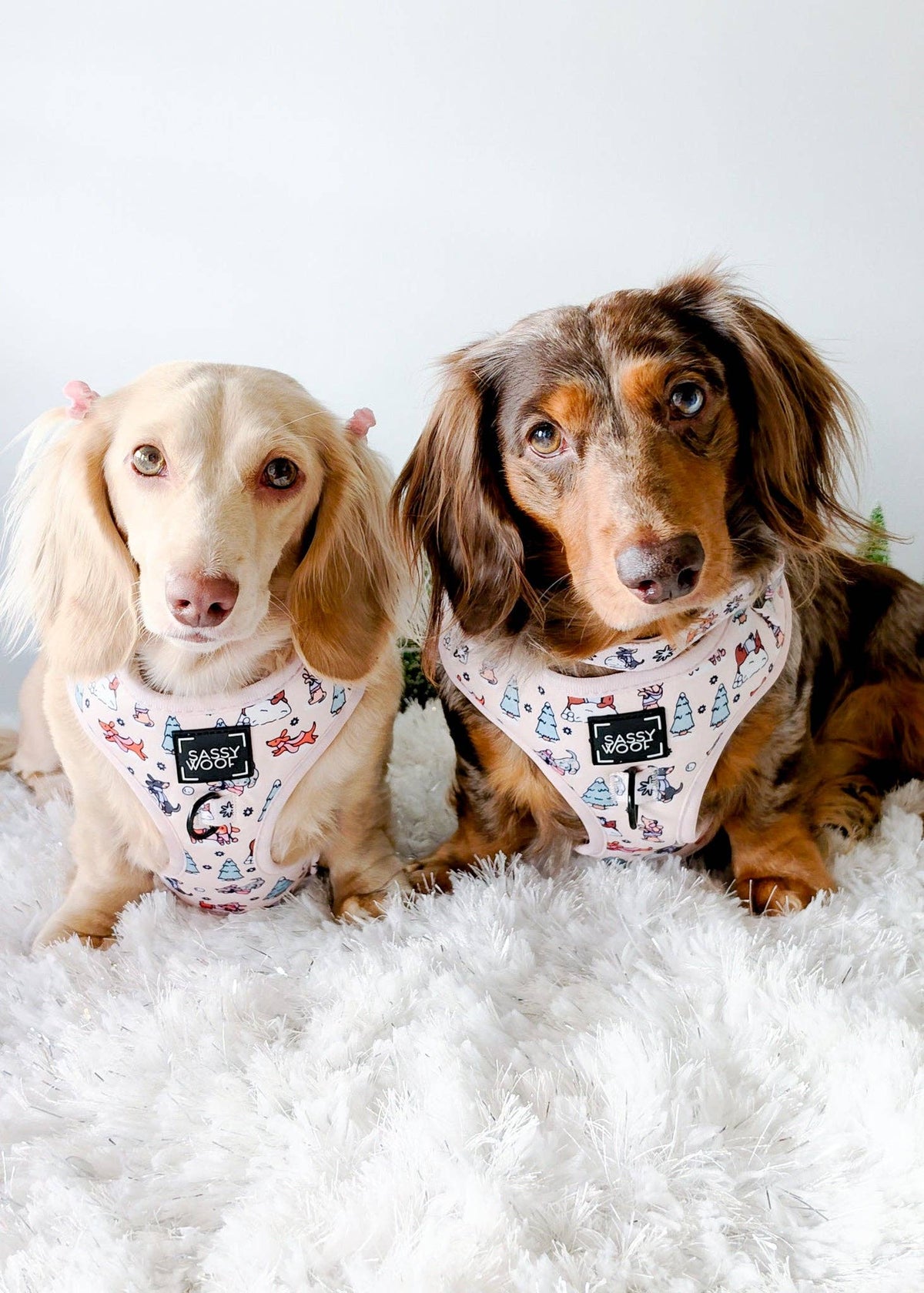 Dog Collar - Weenie Wonderland