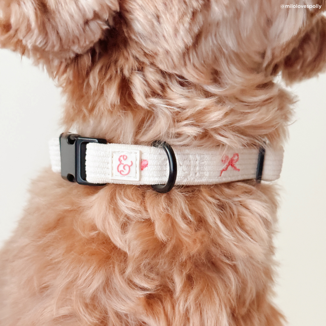 Ever So Sweet Corduroy Collar