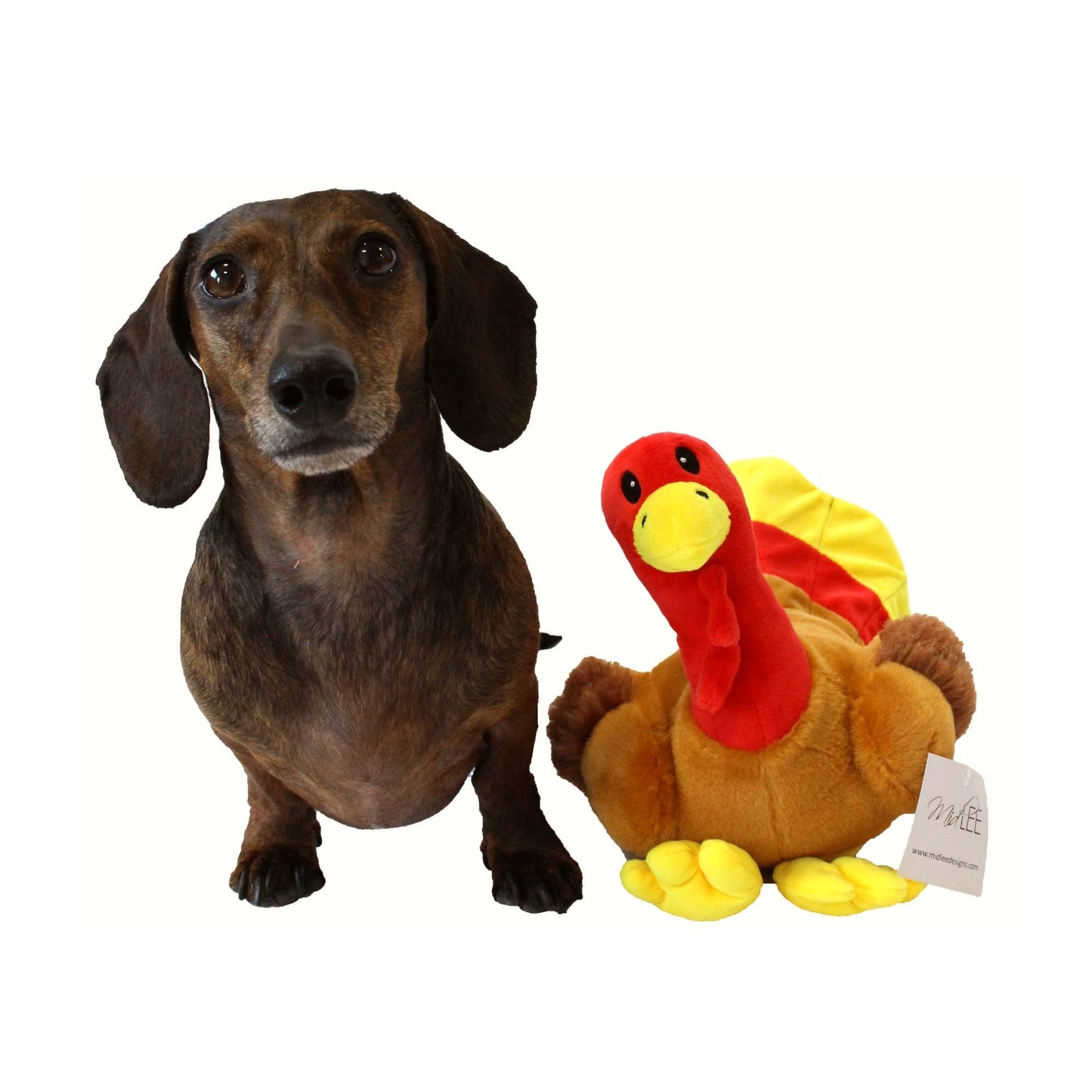Midlee Thanksgiving Turkey Dog Toy