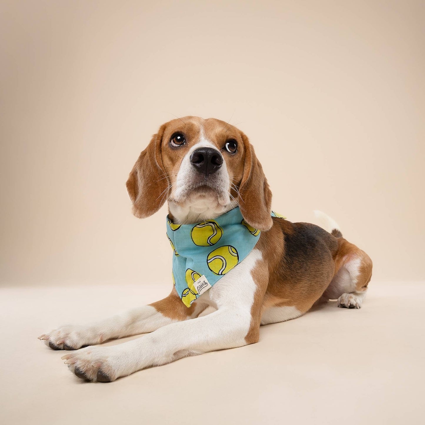 Tennis Ball Dog Bandana